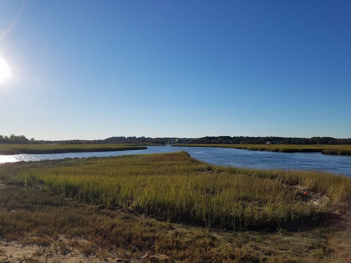 Rumney Marsh Reservation