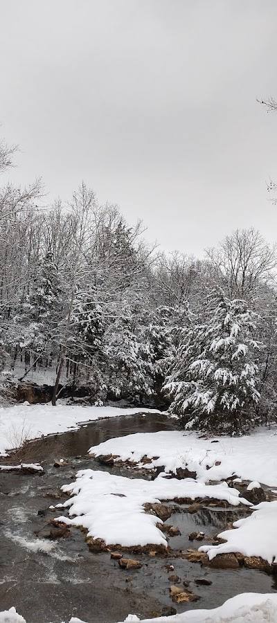Walther Park photo 2
