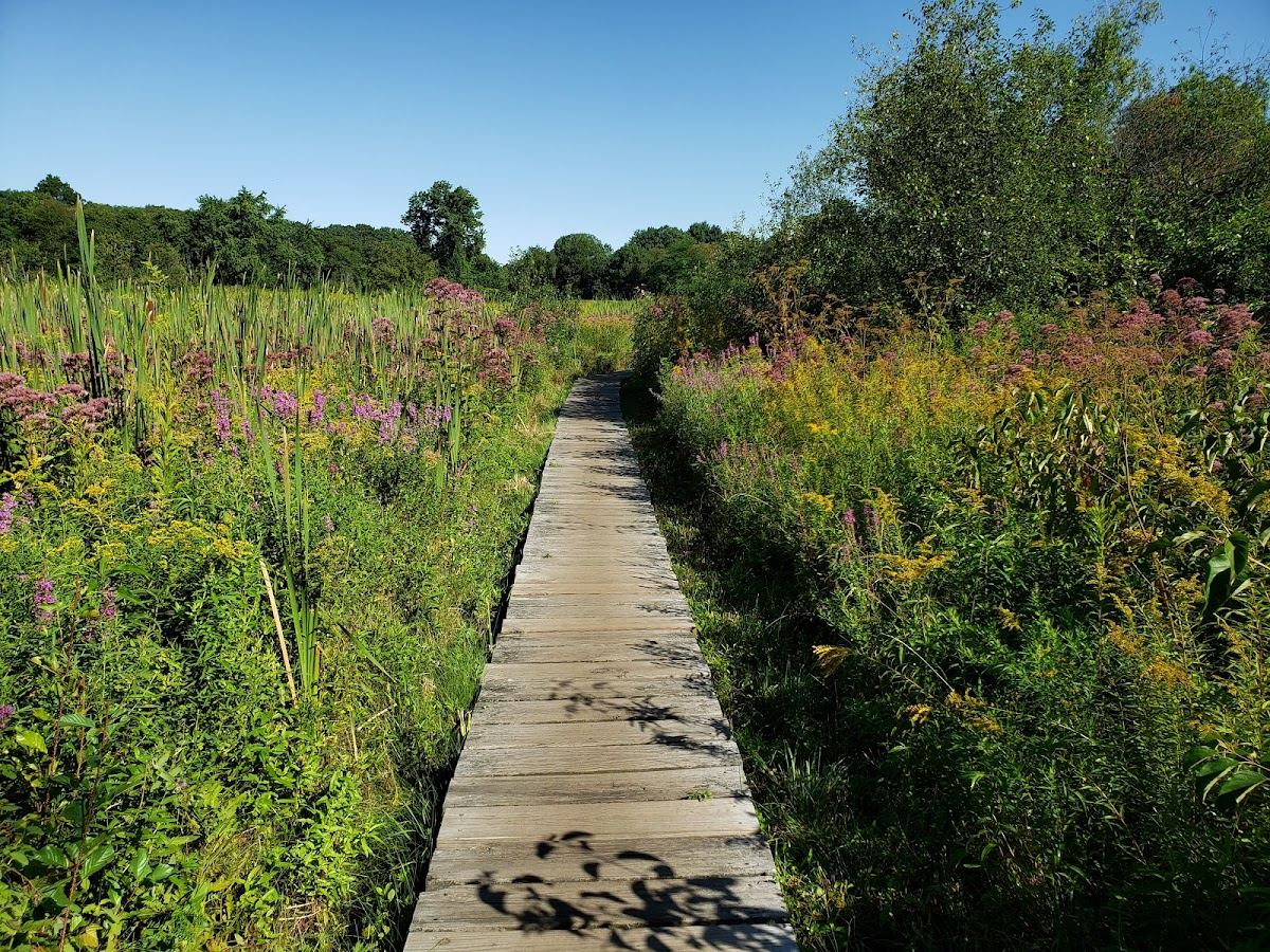 Rock Meadow Conservation Area