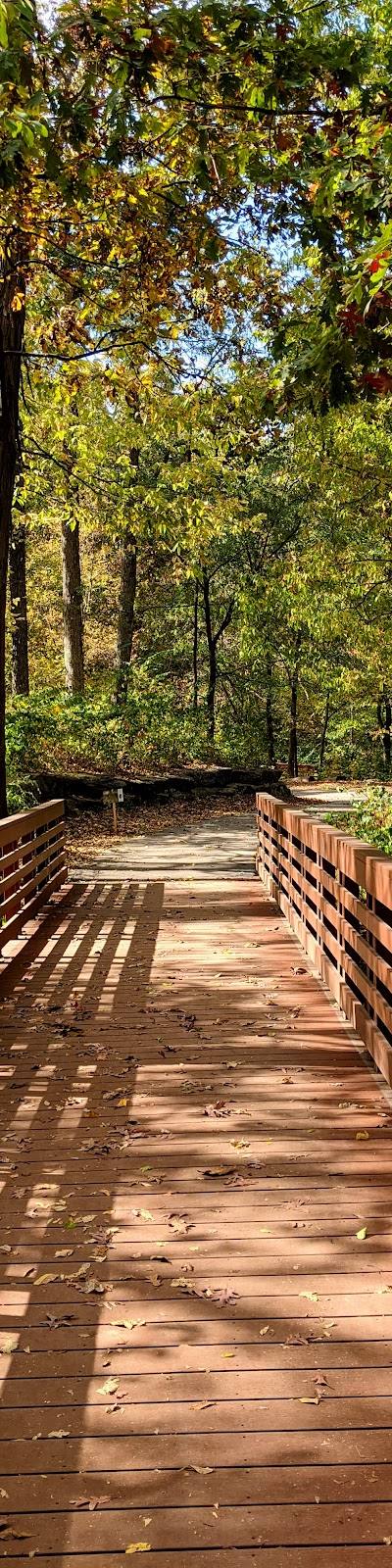 Longview Farm Park photo 3