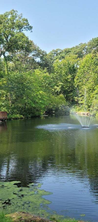 Longview Farm Park photo 4