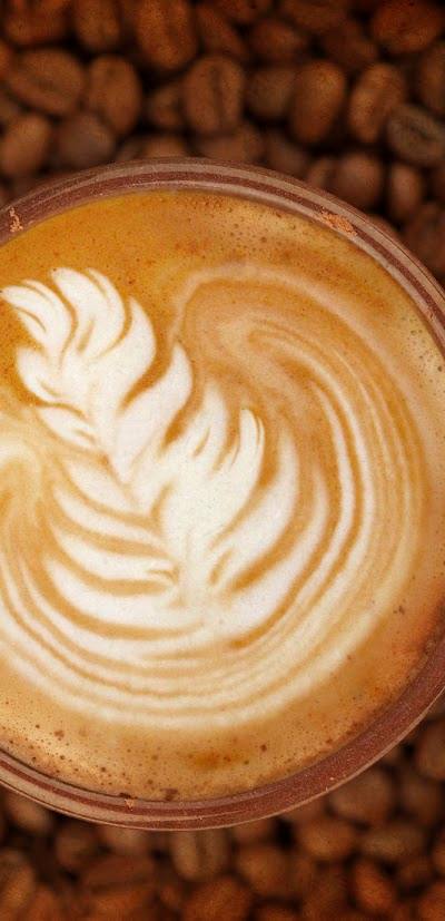Picasso's Coffee photo 2