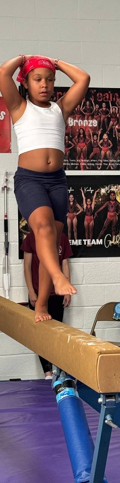 Granite City Park District Gymnastics, Dance & Cheer photo 2