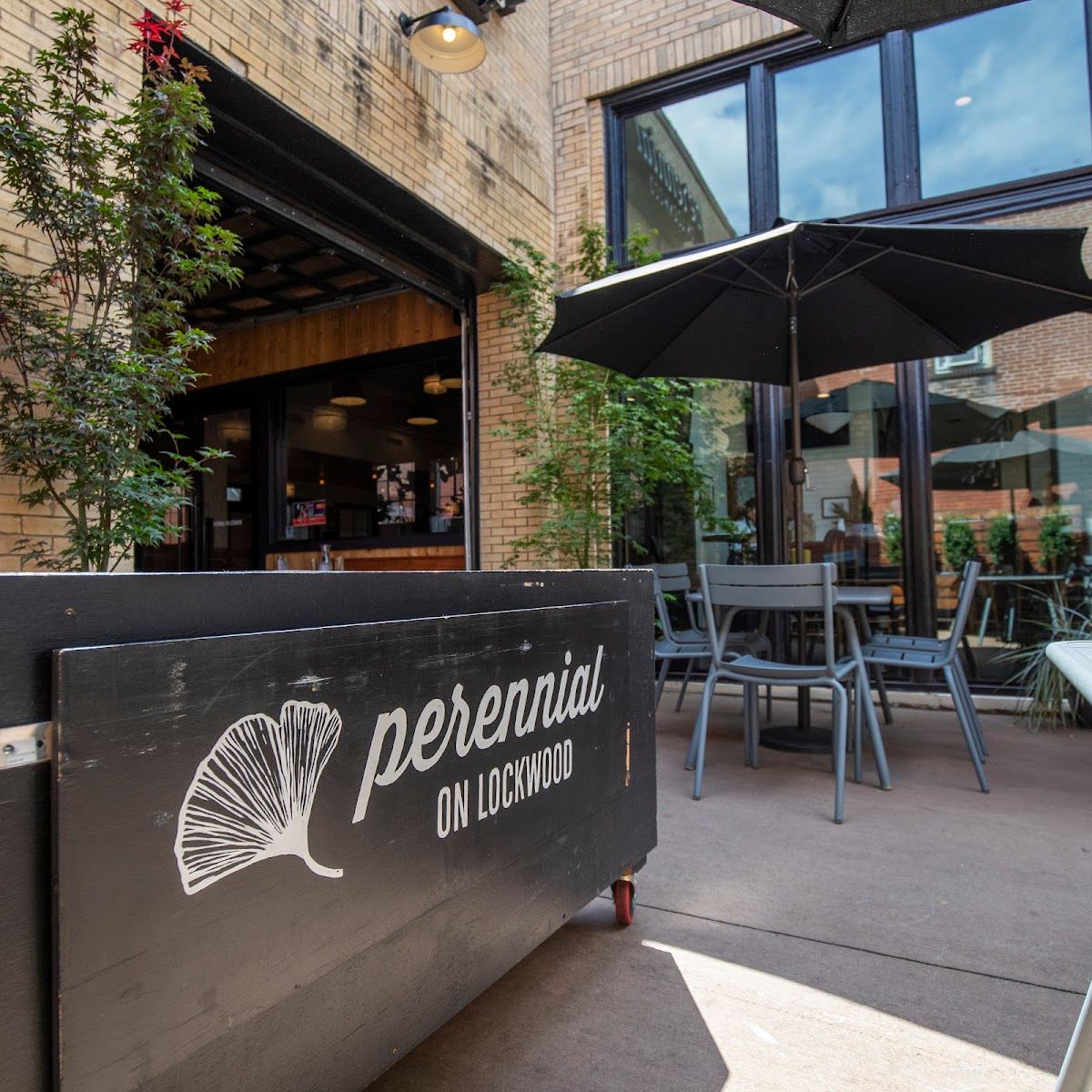Perennial on Lockwood