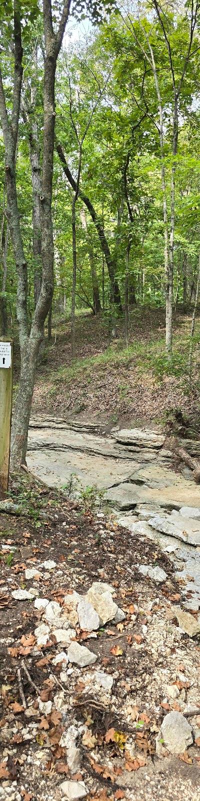West Tyson County Park photo 4