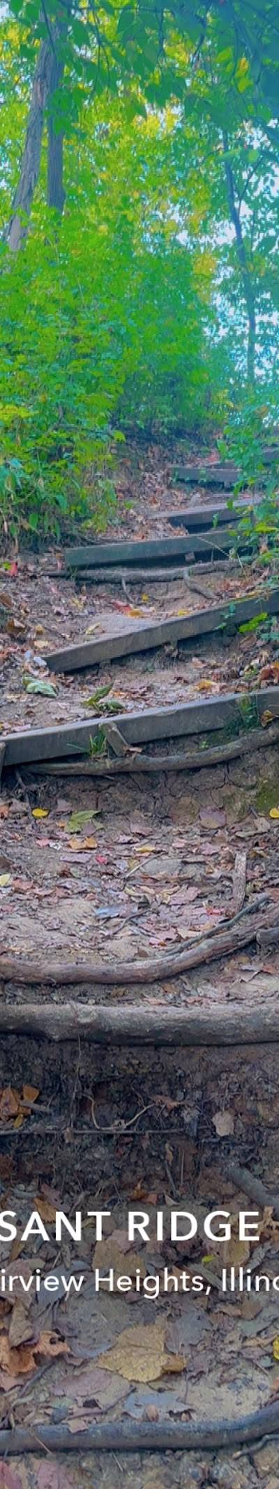 Pleasant Ridge Park photo 3
