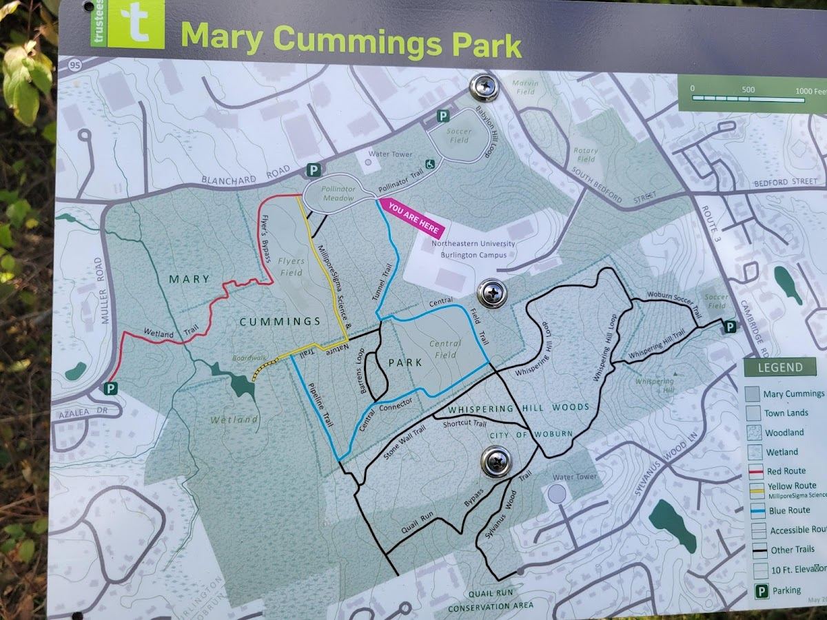 Mary Cummings Park