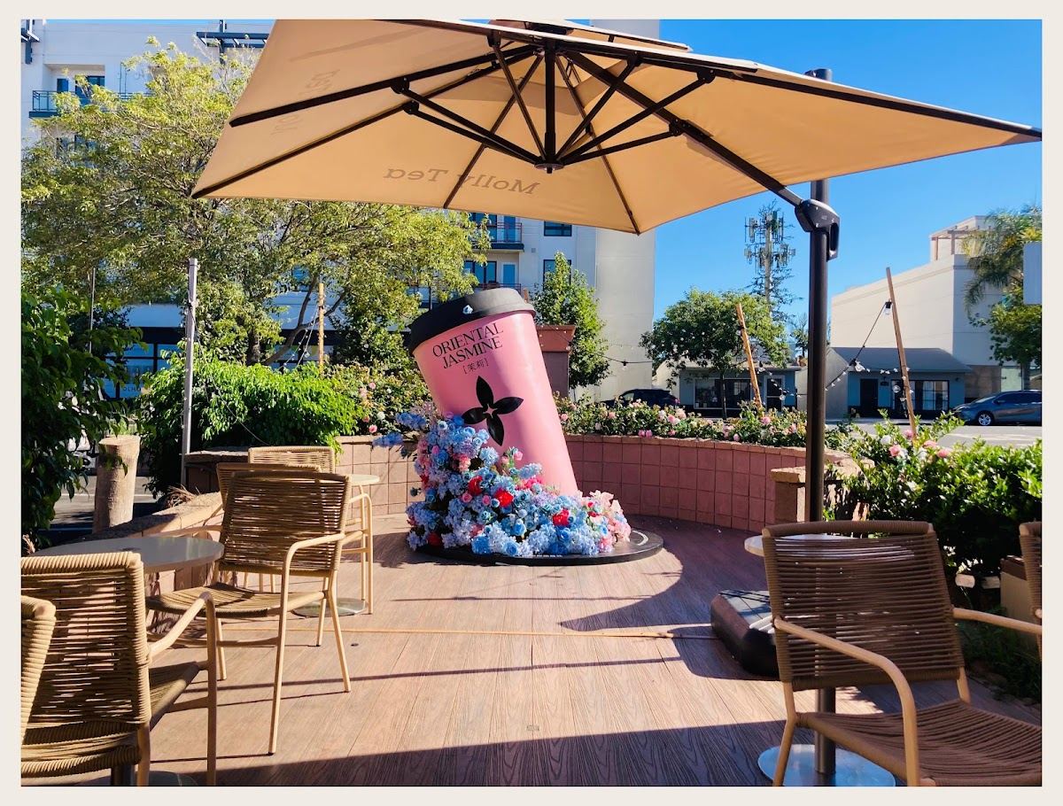 Molly Tea (San Gabriel)