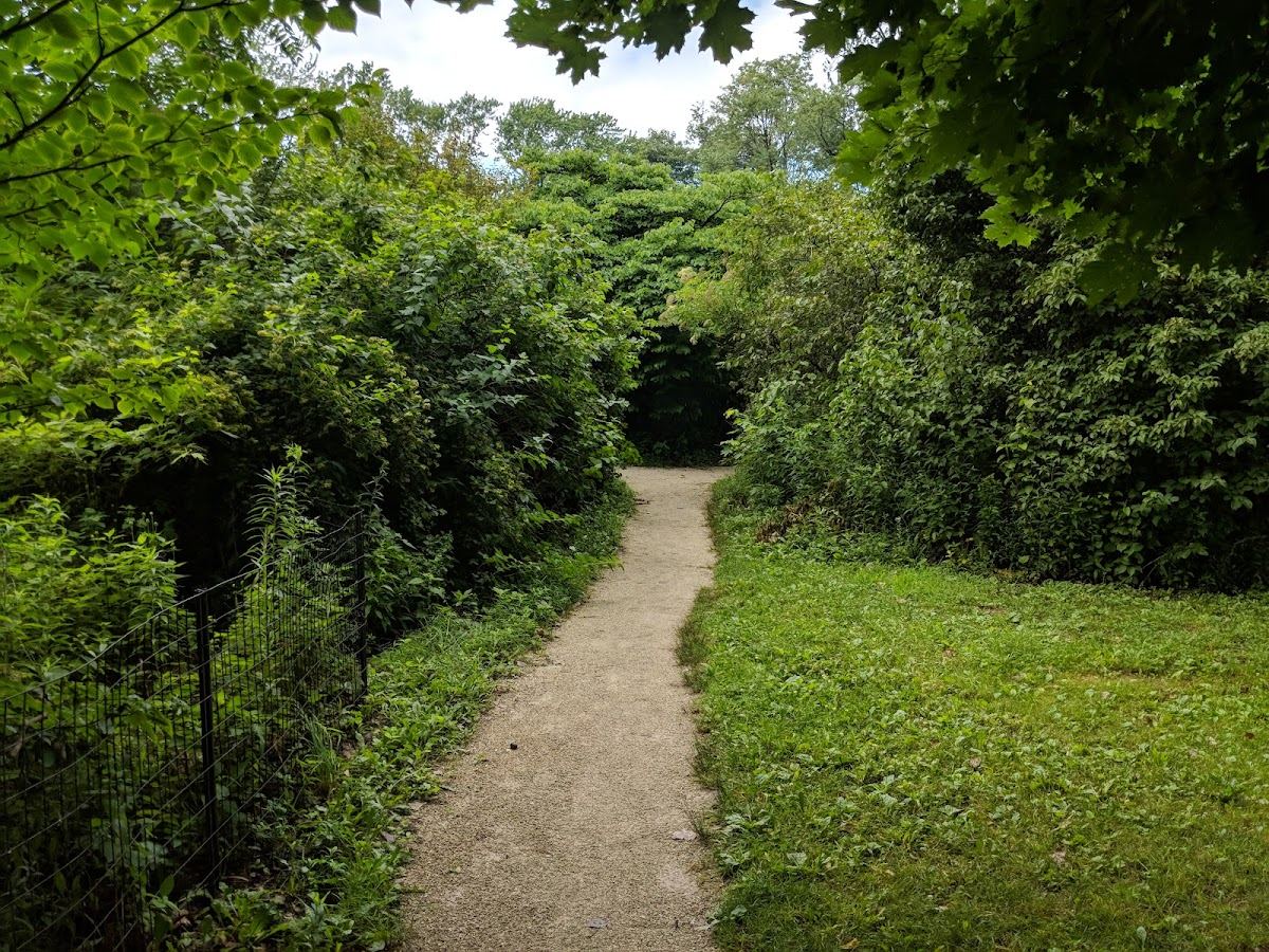Jarvis Bird Sanctuary