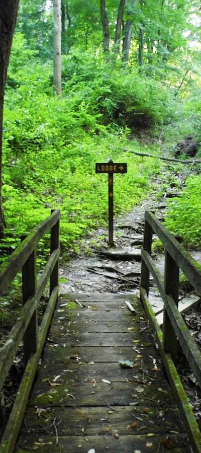 John M Olin Nature Preserve (Nature Institute) photo 2