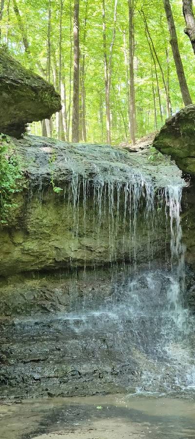 John M Olin Nature Preserve (Nature Institute) photo 4