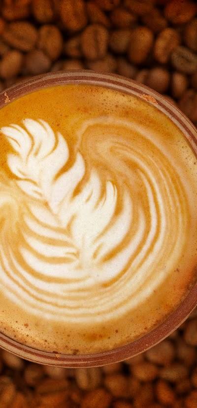 Picasso's Coffee photo 2