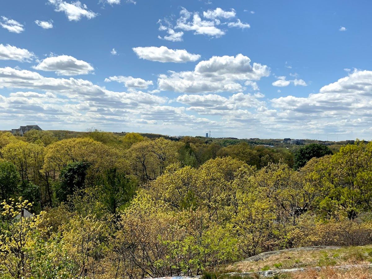 Rag Rock Hill Park