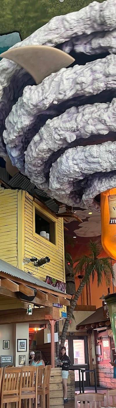 Margaritaville - Myrtle Beach photo 3