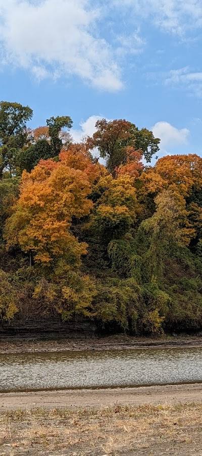 Pelican Island Natural Area photo 2