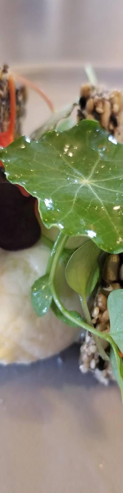 Root Food + Wine photo 2