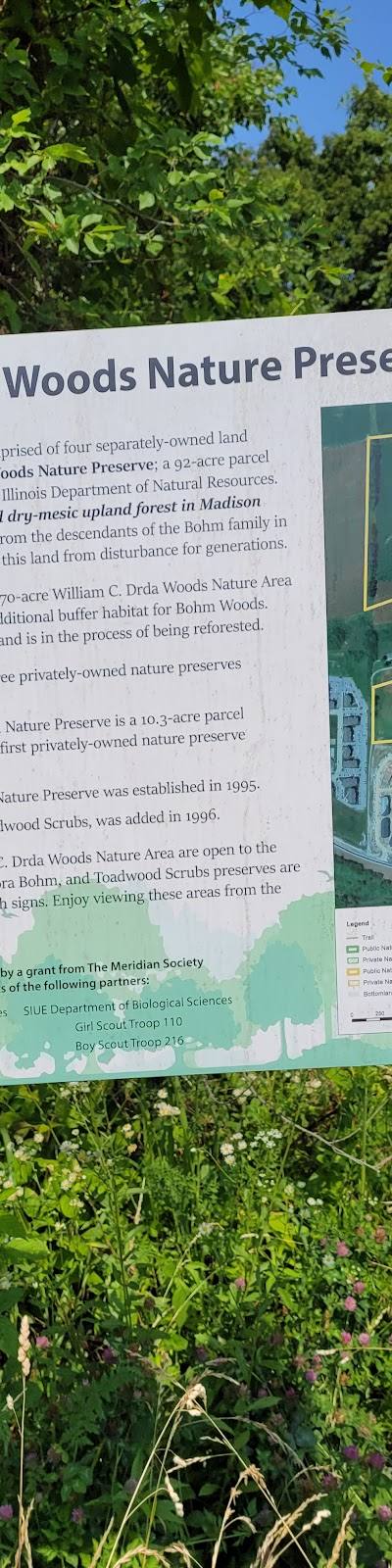 Bohm Woods Nature Preserve photo 2
