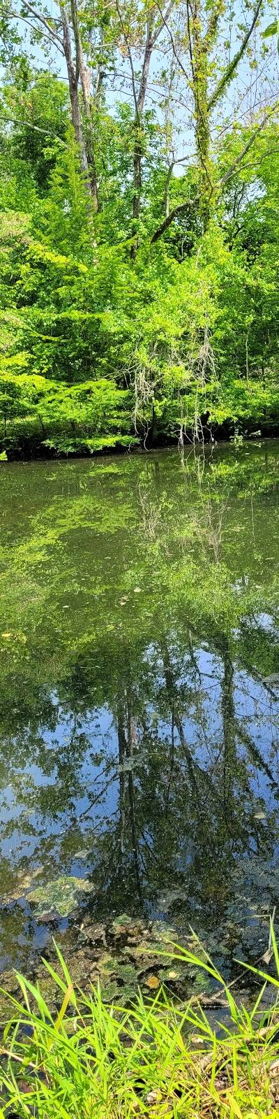 Bohm Woods Nature Preserve photo 3