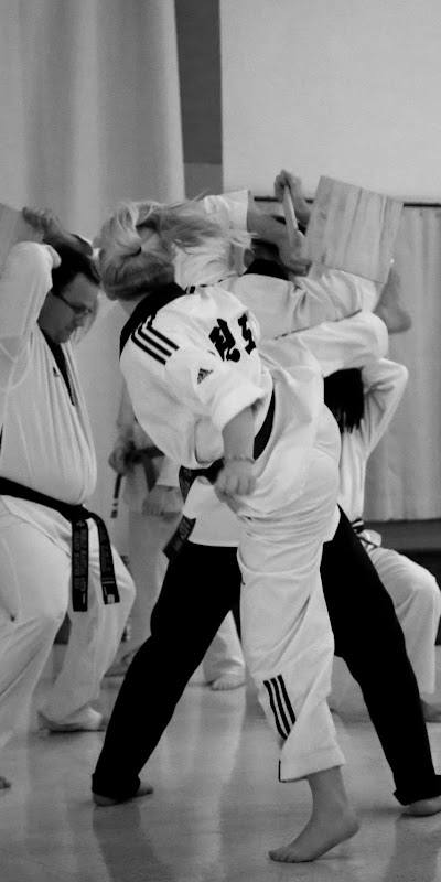 World Martial Arts Academy - Hazelwood photo 2