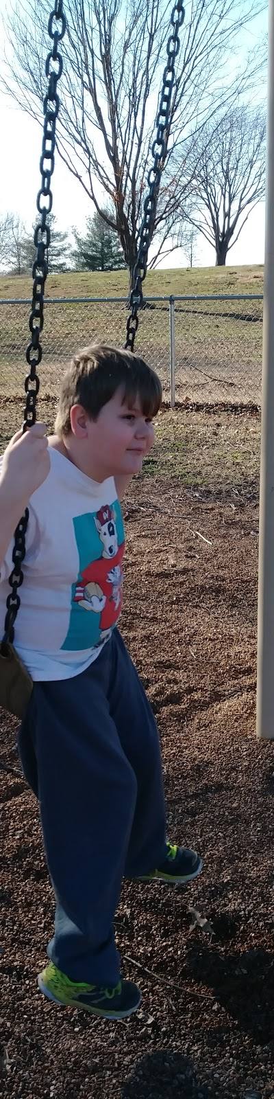 Caseyville Village Park photo 4
