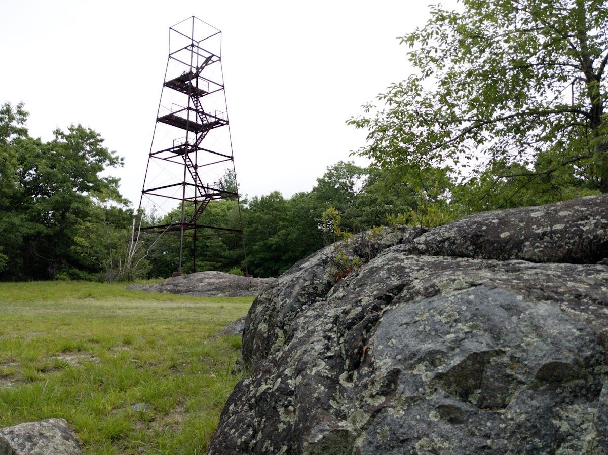 Steel Tower Lynn Woods