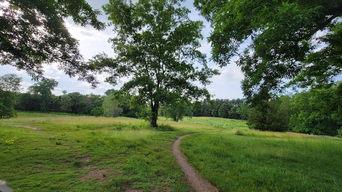 Lone Tree Hill