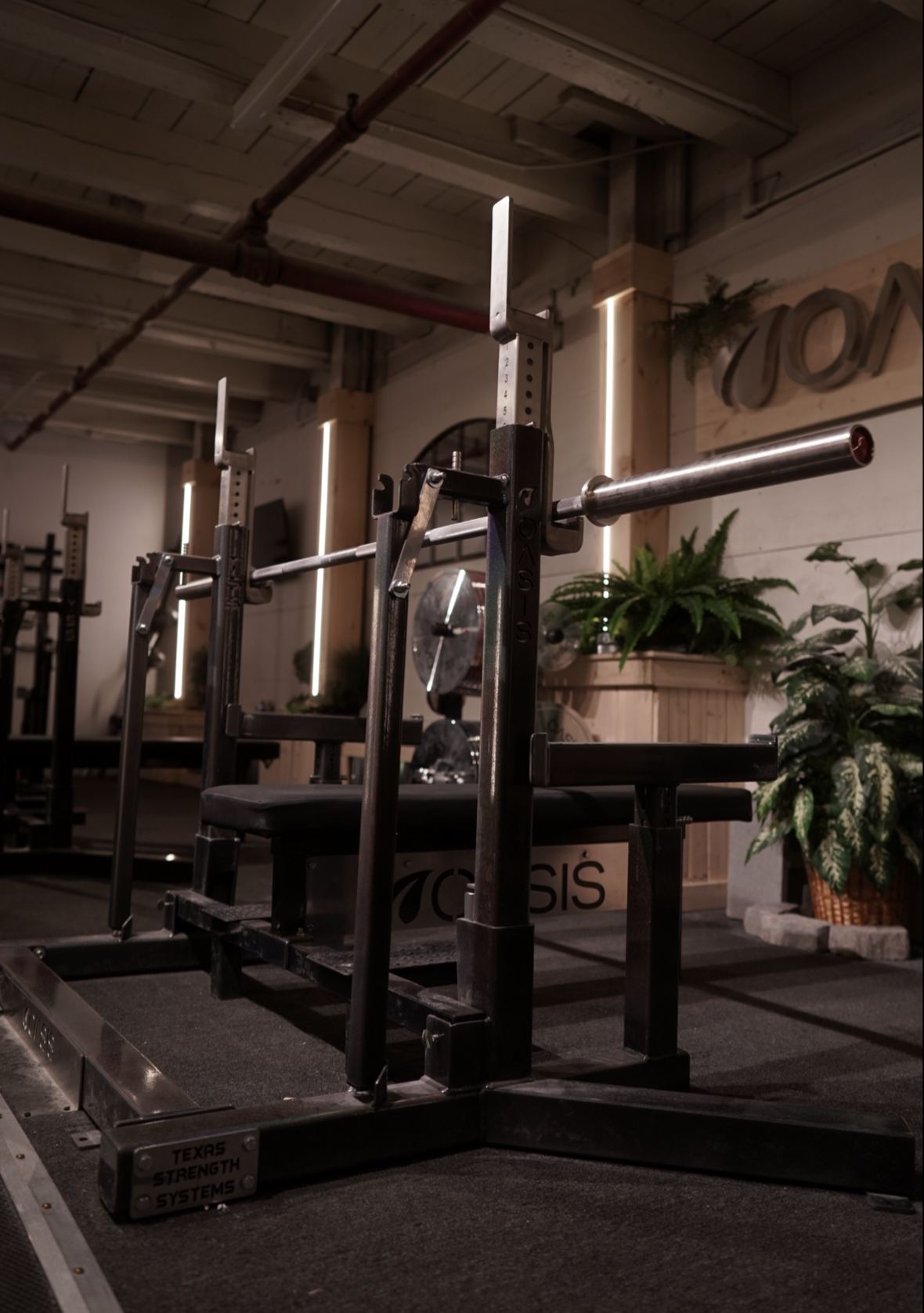 Oasis Powerlifting - Boston