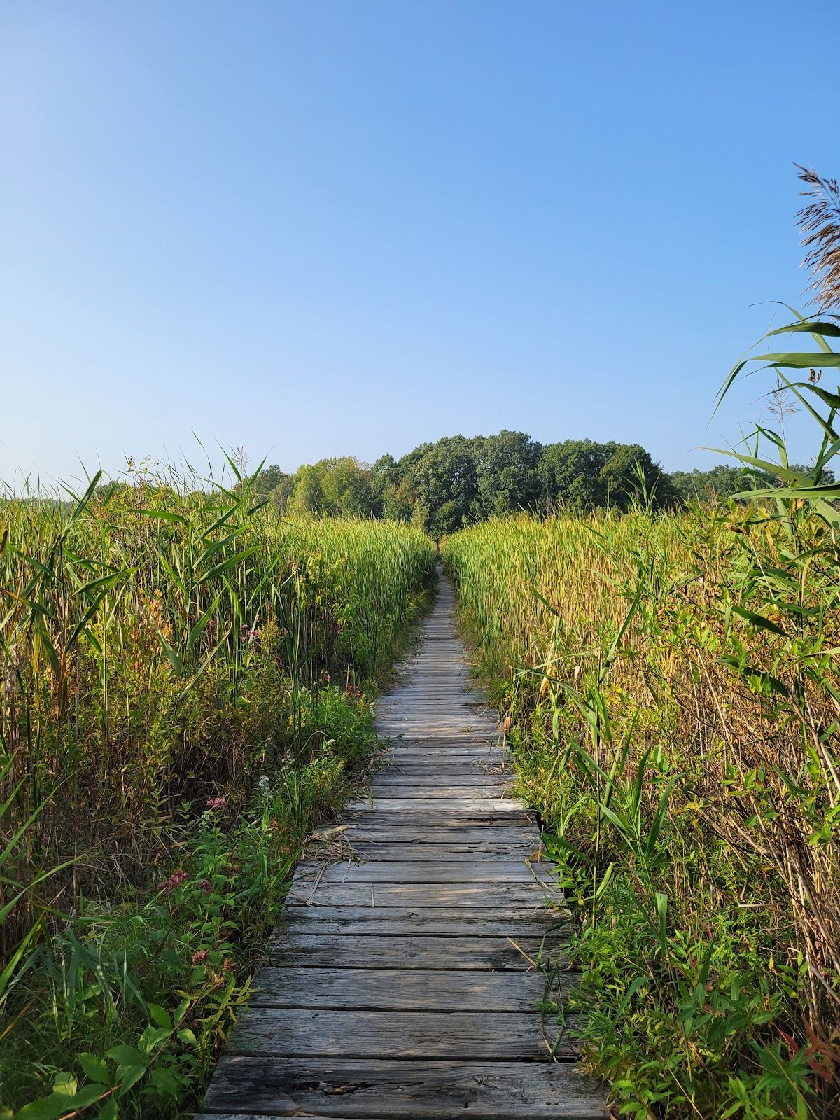 Cutler Park Reservation