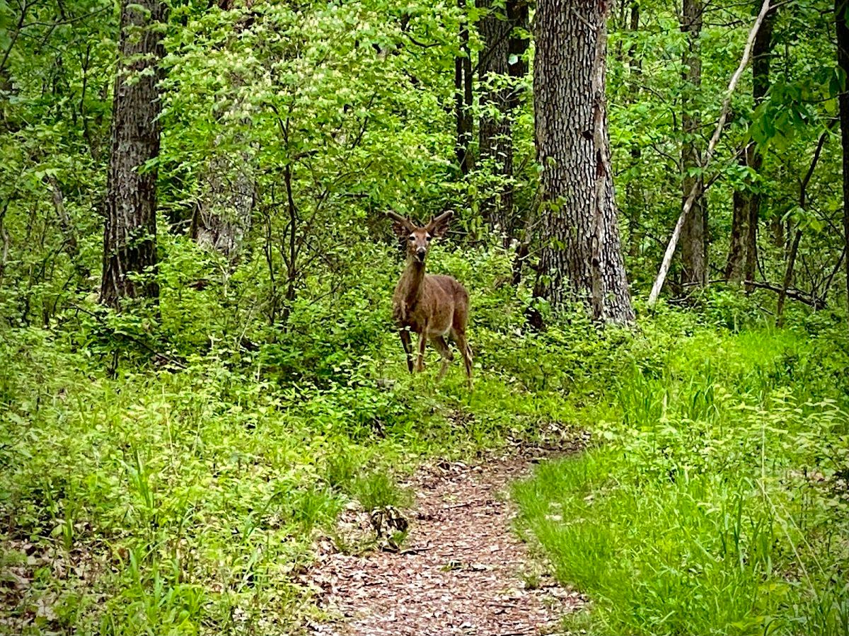 Grotpeter Trailhead