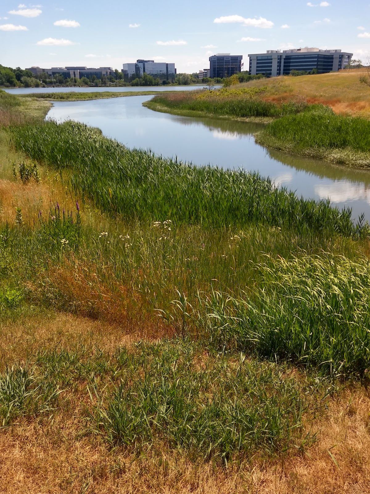 Pope John Paul II Park, Boston