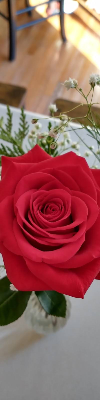 Carousel Florist LLC photo 2