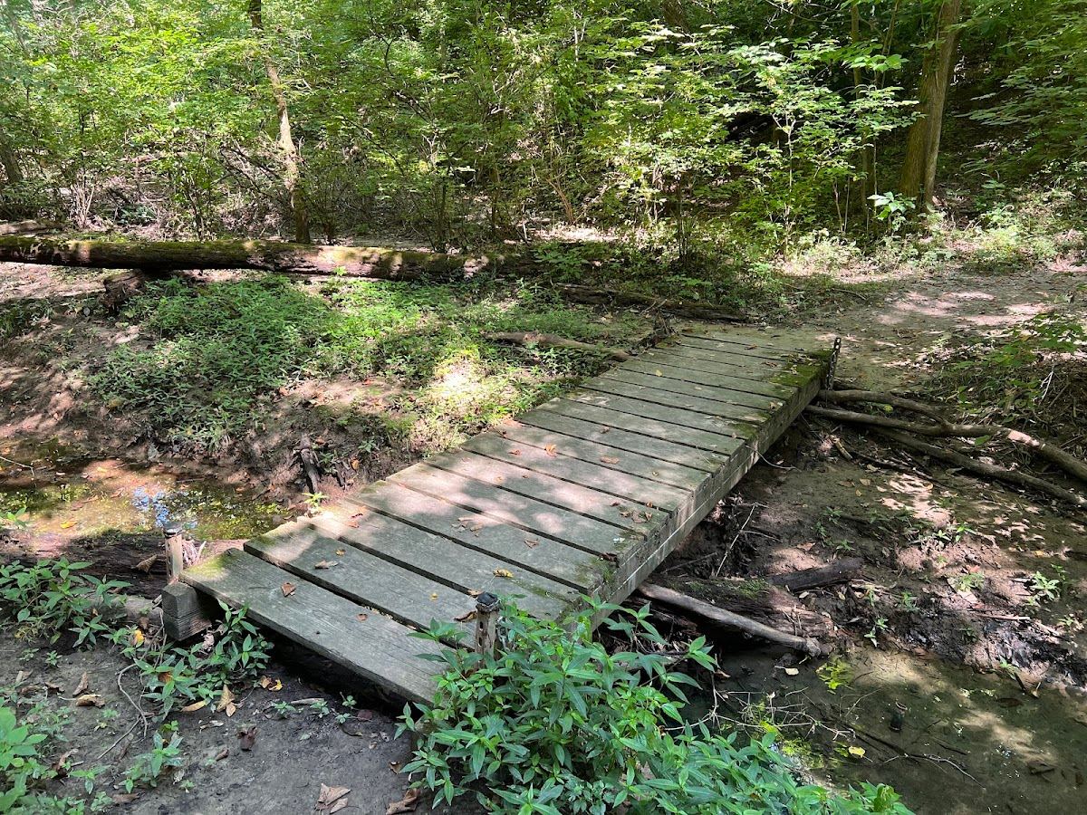 Champ Trails