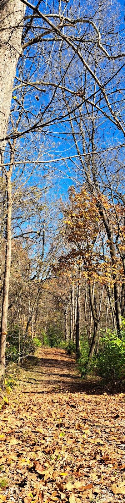 Champ Trails photo 3