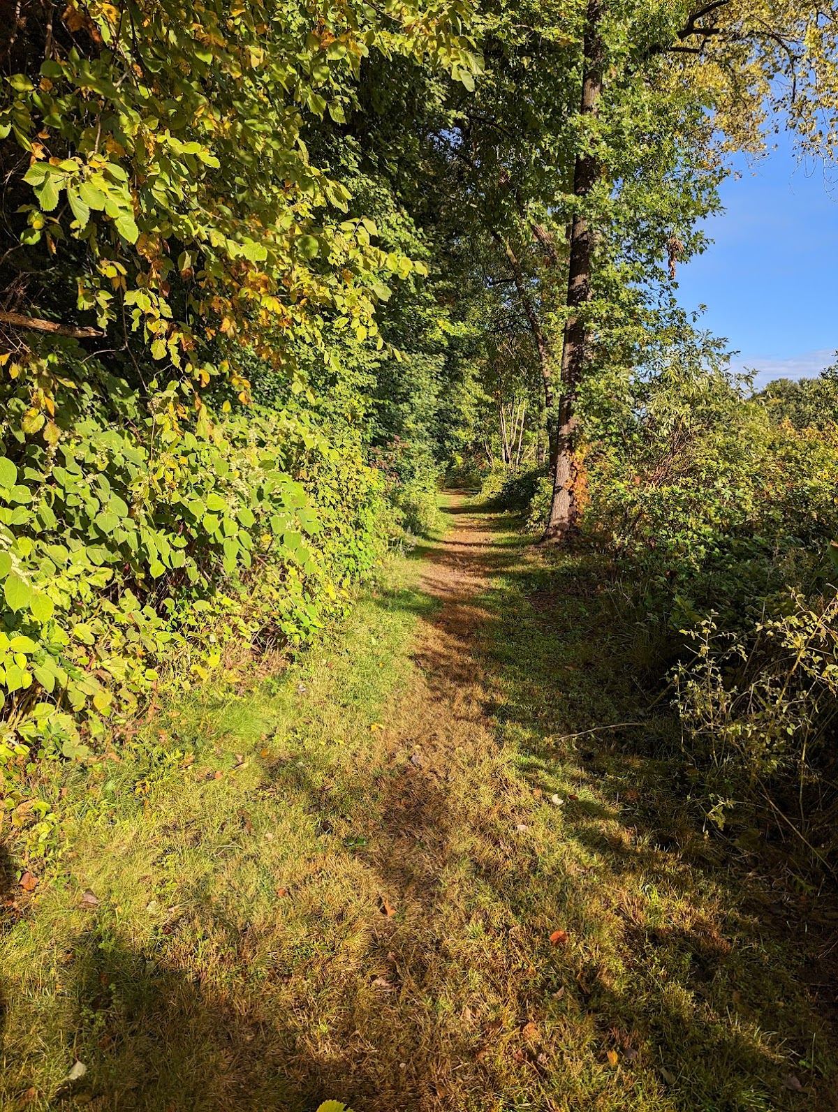 Cranberry Bog Conservation Area