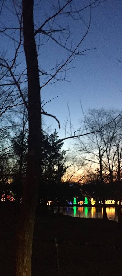 Winter Wonderland STL photo 4