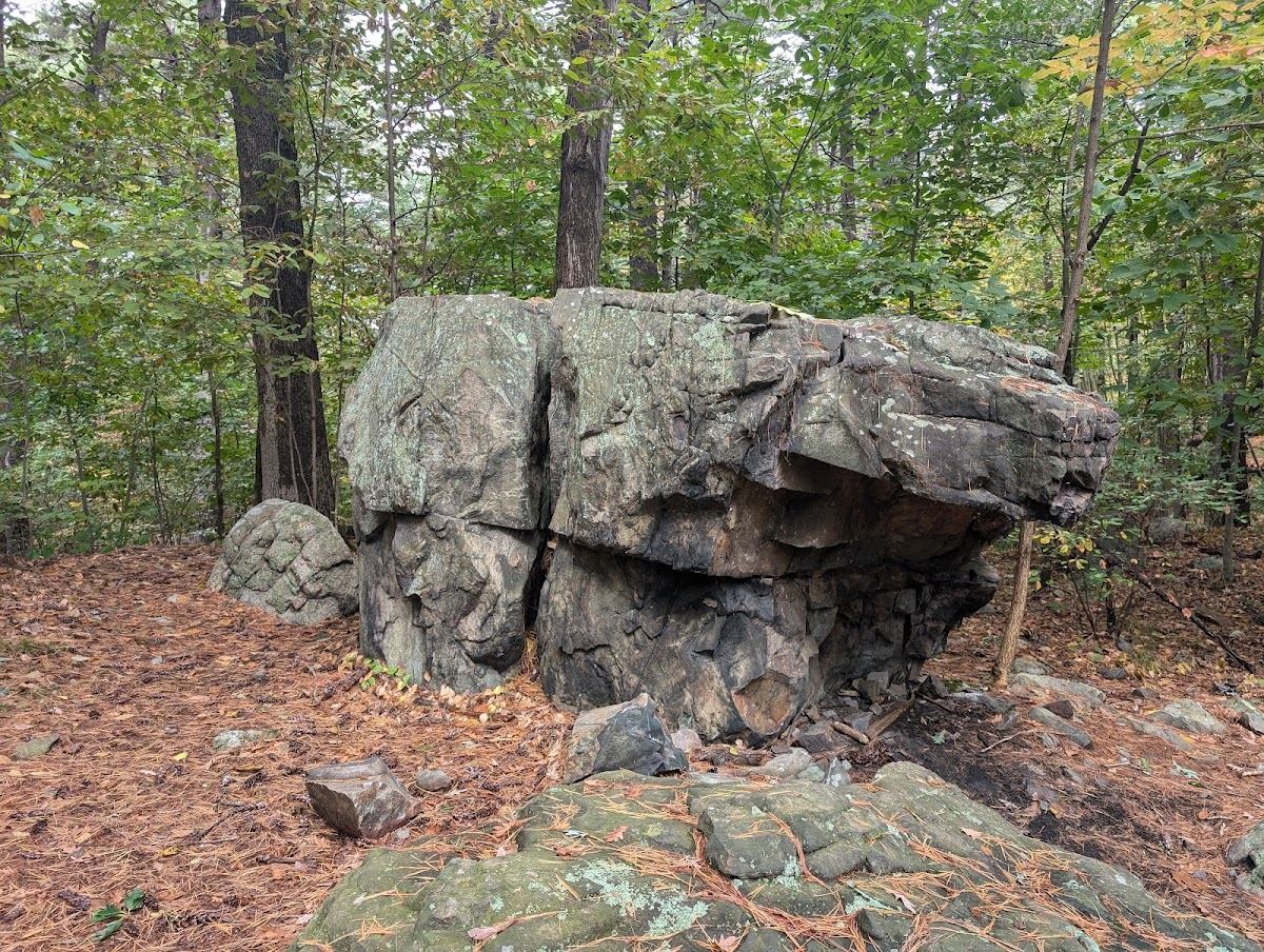 Bear Rock
