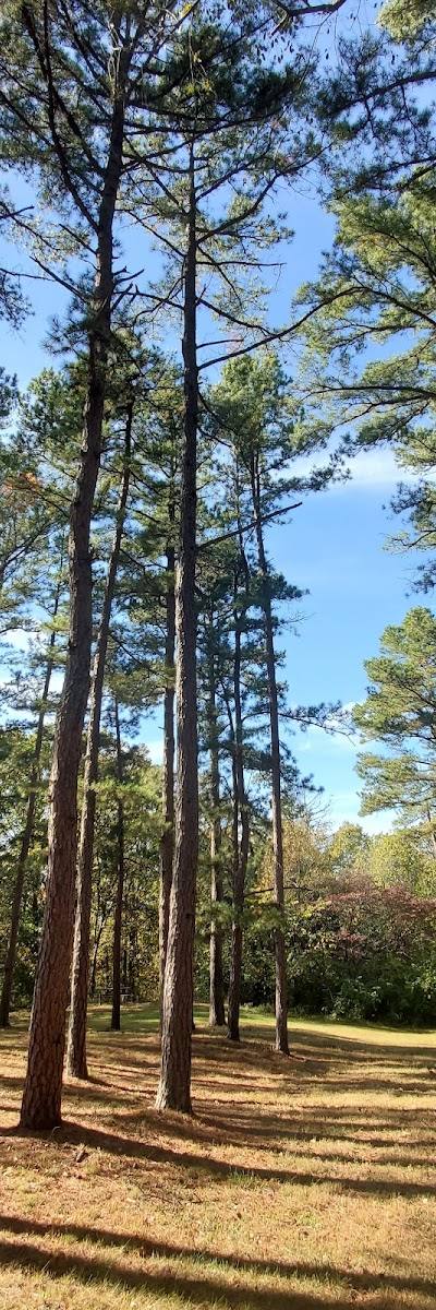Sunridge Park photo 4