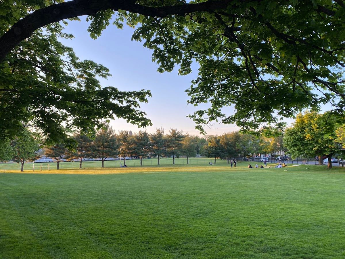 Tufts Park