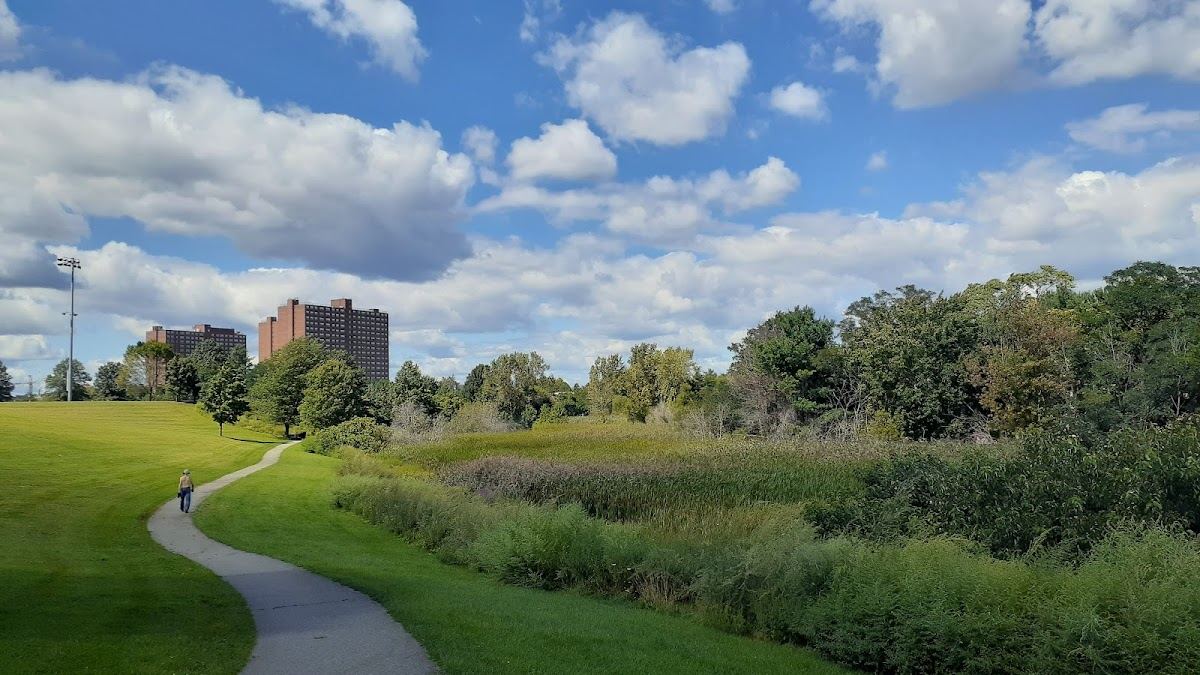 Danehy Park