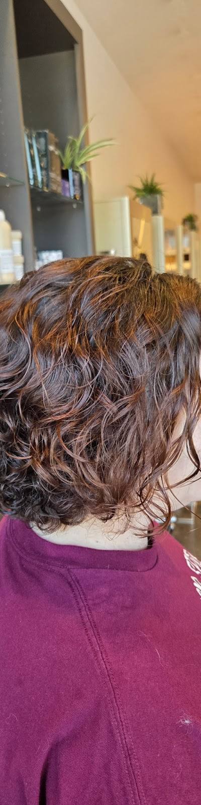 Hollywood Hair Salon and Spa Shiloh photo 3