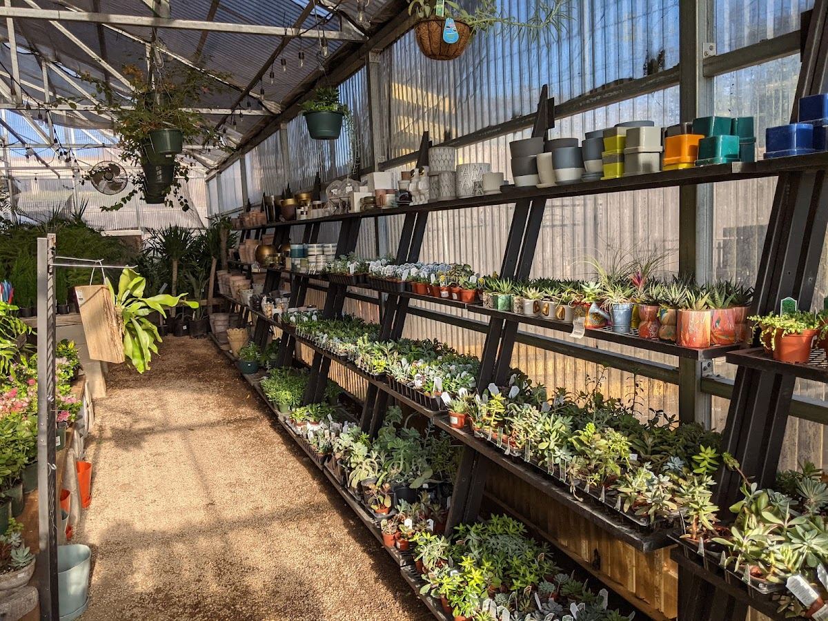 Walton’s Garden Center