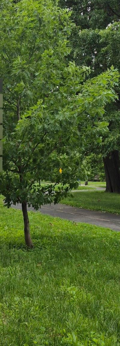 Carondelet Park photo 4