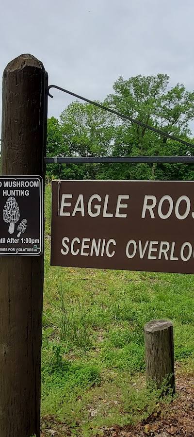 Eagles Roost Scenic Overlook, Pere Marquette State Park photo 4