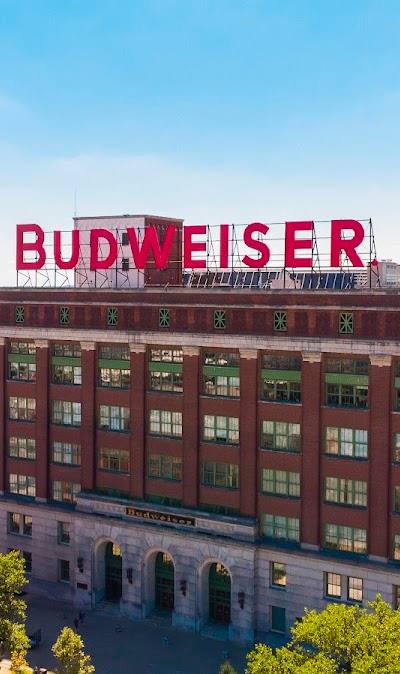 Budweiser Brewery Experience photo 2