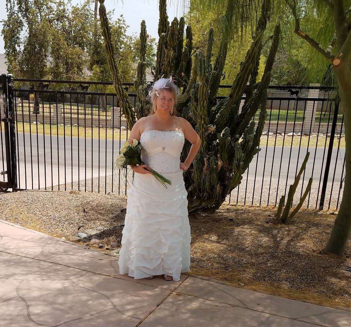 Strictly Weddings