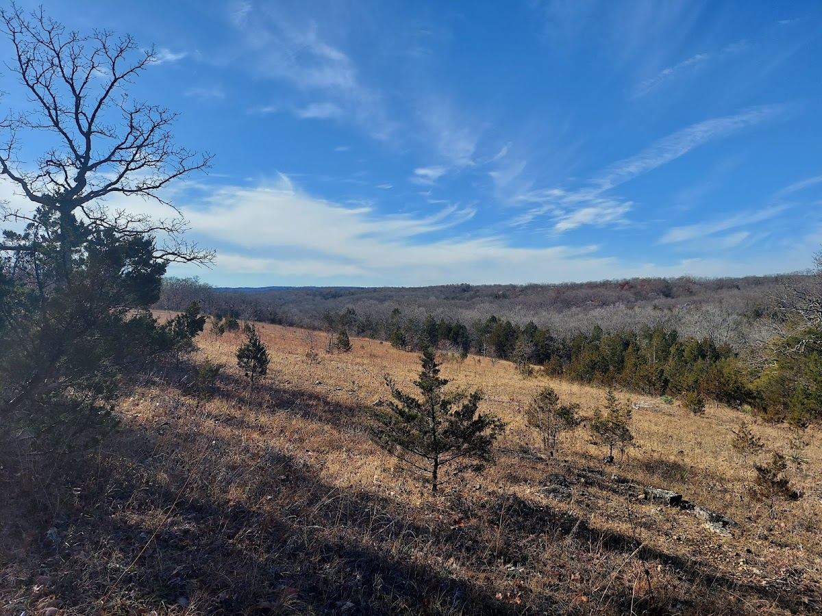 Victoria Glades Conservation Area