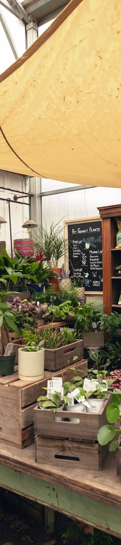 Maypop Coffee & Garden Shop photo 4