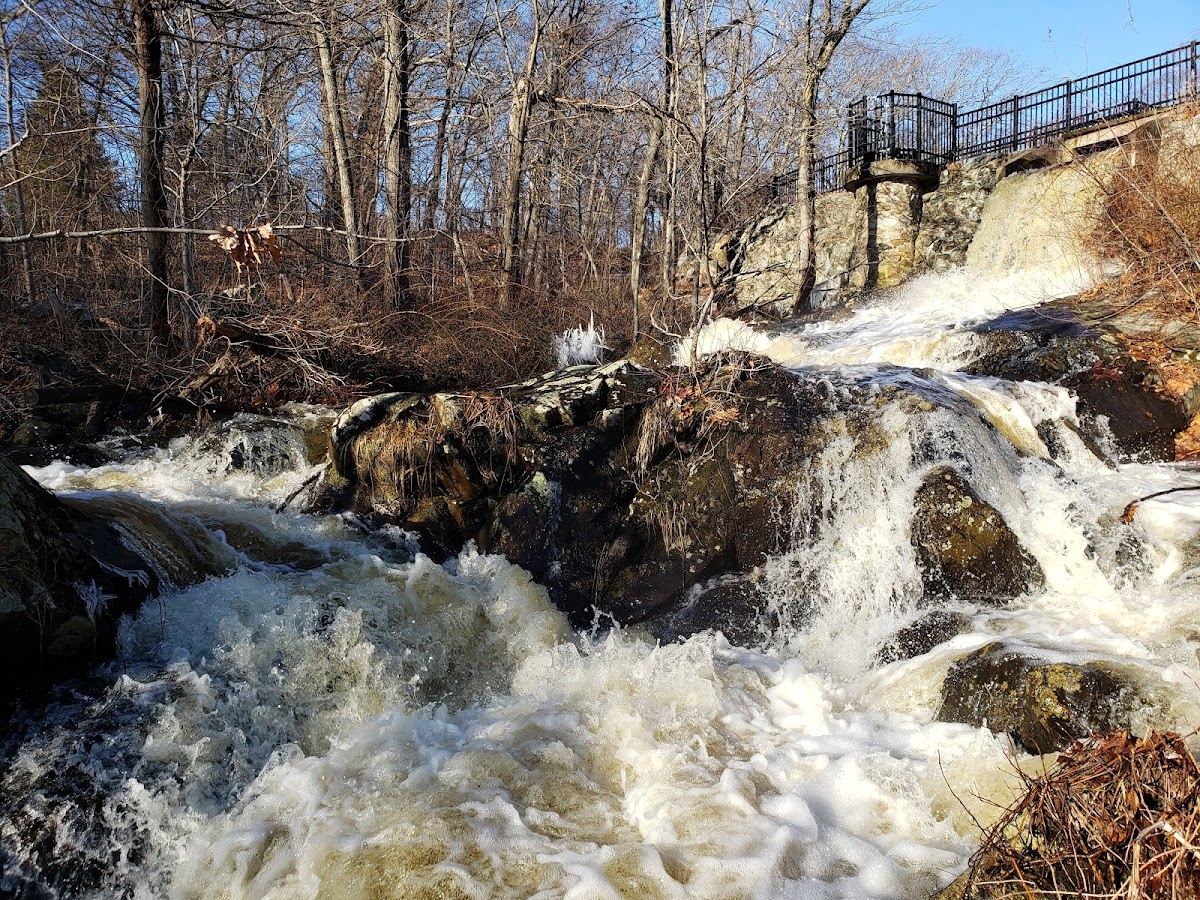 Beaver Brook Reservation