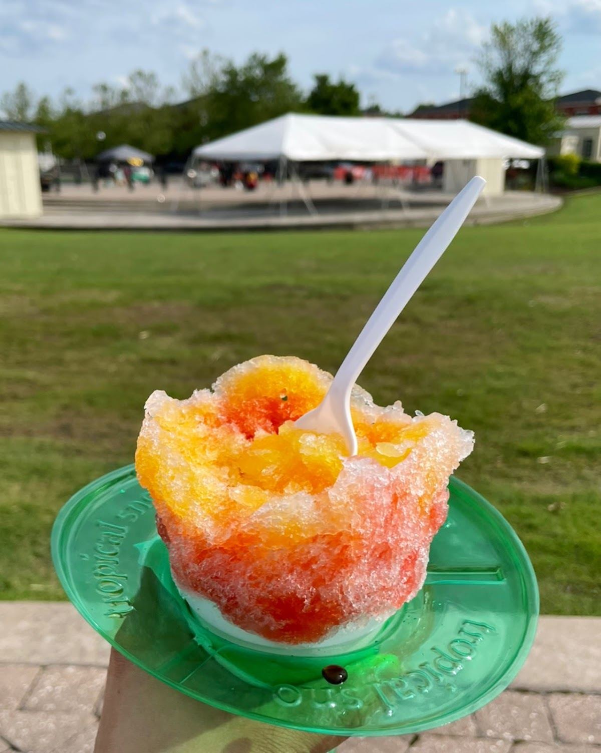 Molly O's Sno Cones & Sno Tinis