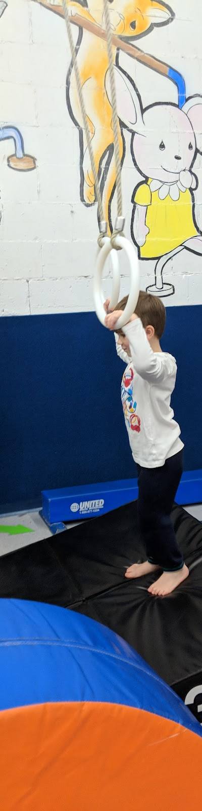 St Louis Gym Centre photo 2